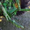 2002 John Deere 6420 MFWD